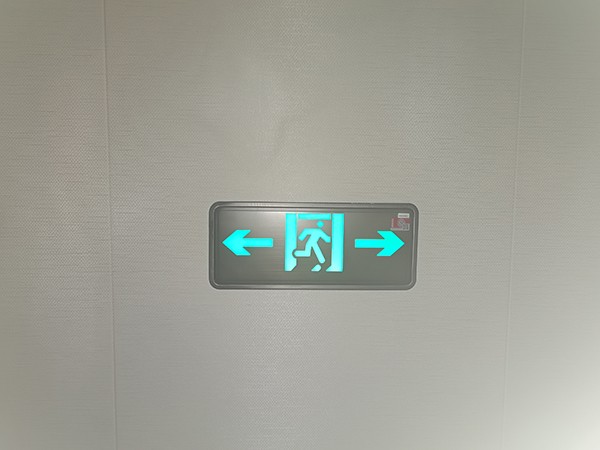 在大型商場中，集中控制智能疏散的優勢何在？